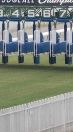 Next Race